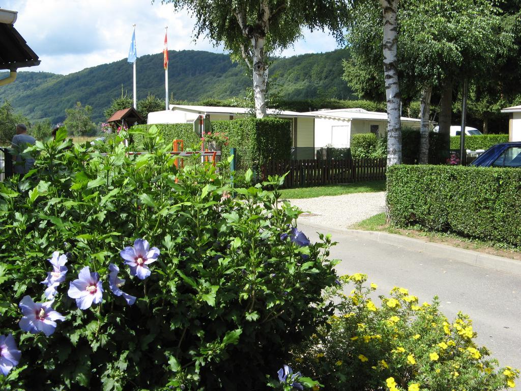 Camping Au Pays De Hanau Hotel Dossenheim-sur-Zinsel Kültér fotó